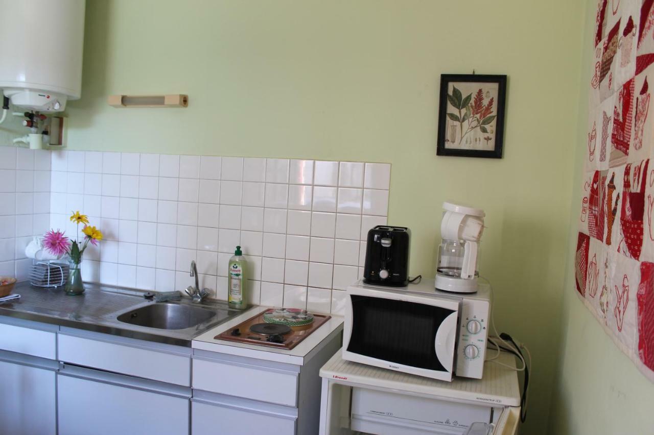 Appartement Val De Saone Seurre Esterno foto
